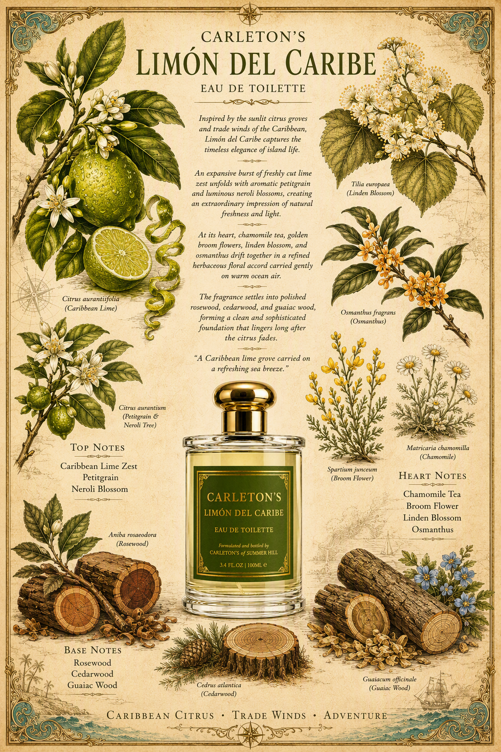 Limón del Caribe, 100ml | 3.4oz