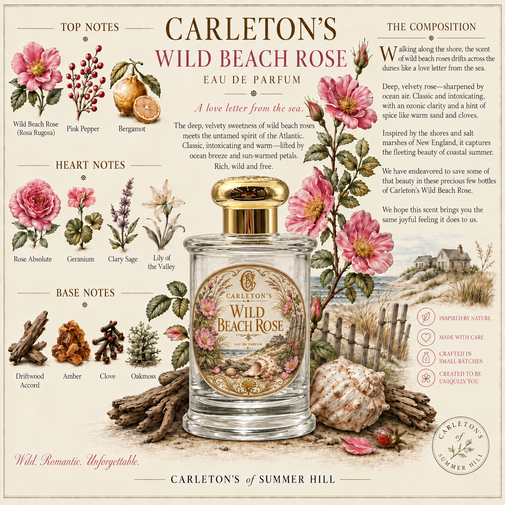 Wild Beach Rose, 100ml | 3.4oz