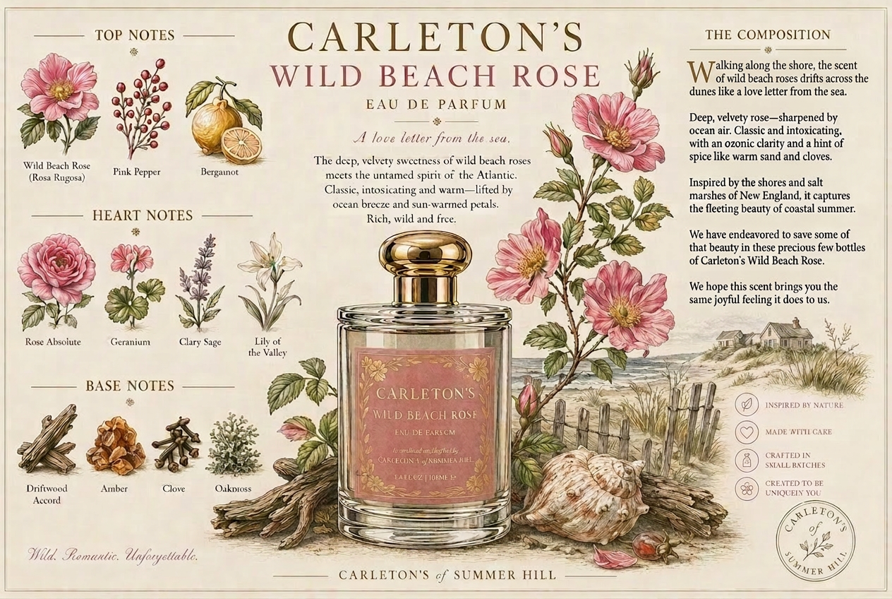 Wild Beach Rose, 100ml | 3.4oz