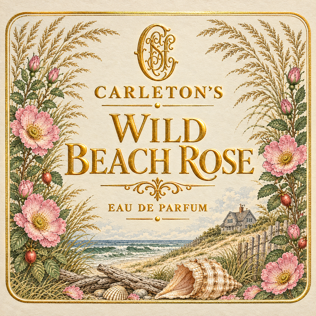 Wild Beach Rose, 100ml | 3.4oz